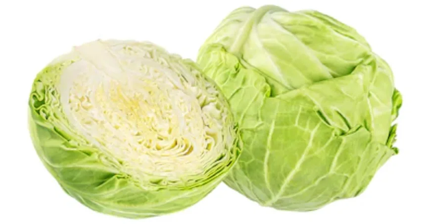 Cabbage (క్యాబేజీ)